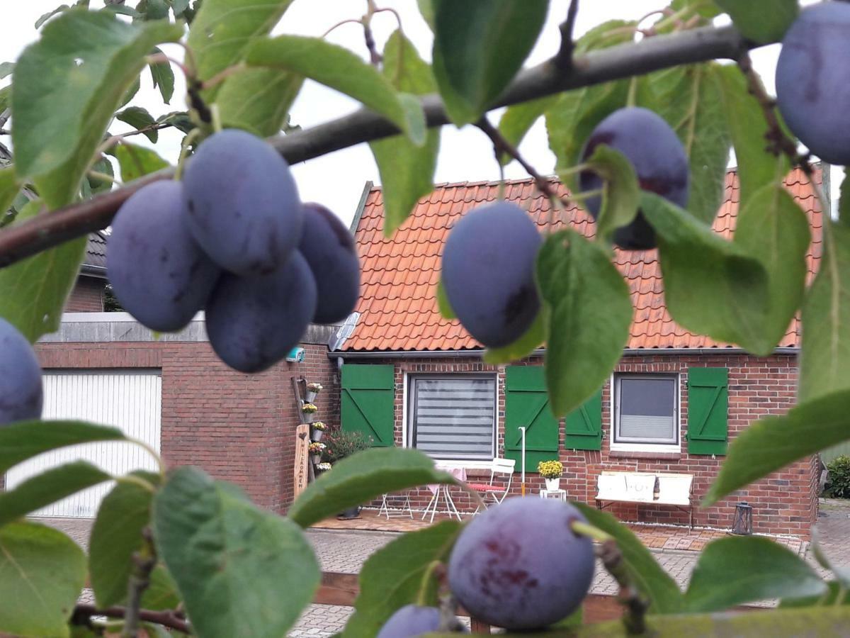 Gemuetliches Haeuschen Im Alten Land Jork Luaran gambar